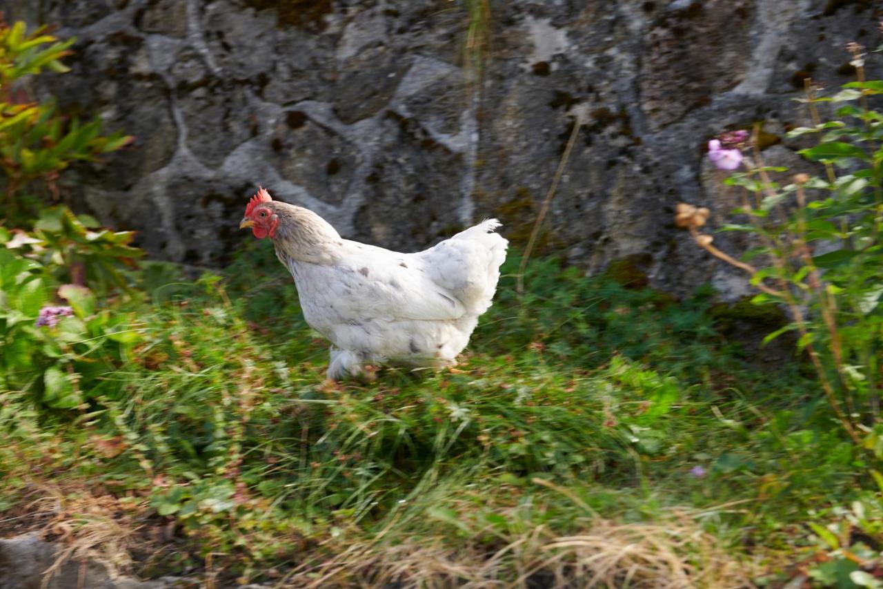 The Conscious Farmer Bed And Breakfast Sauerland Виллинген Экстерьер фото