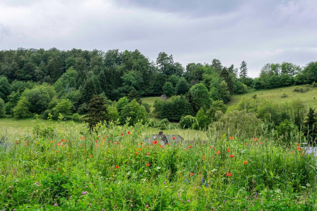The Conscious Farmer Bed And Breakfast Sauerland Виллинген Экстерьер фото