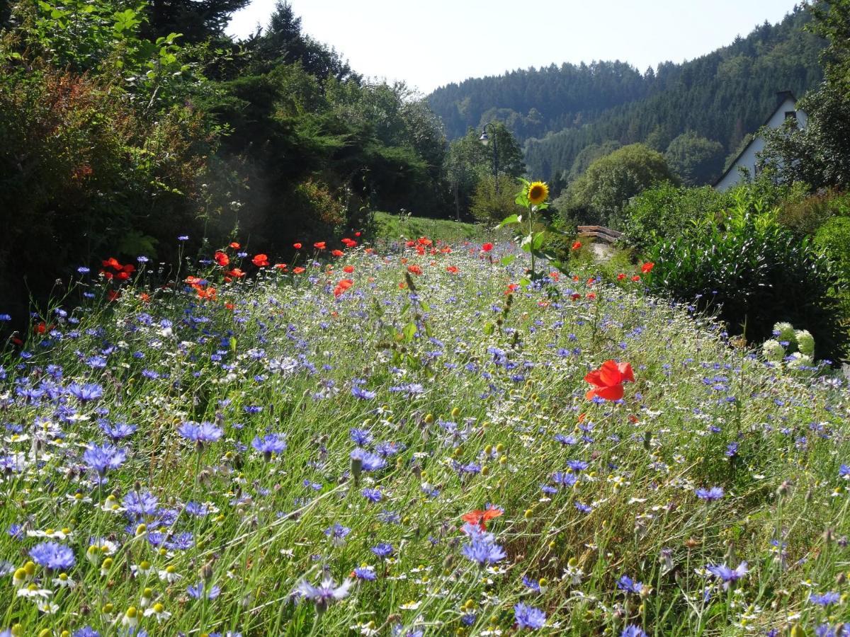 The Conscious Farmer Bed And Breakfast Sauerland Виллинген Экстерьер фото