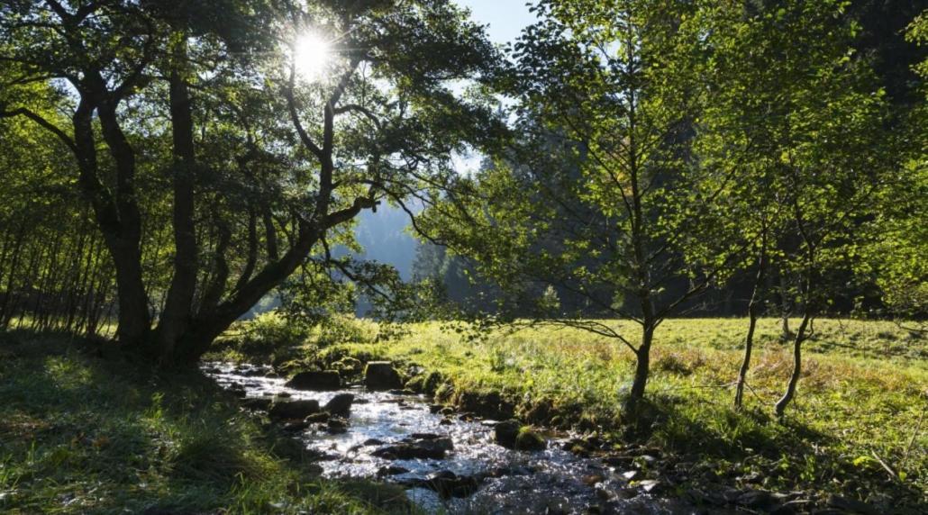 The Conscious Farmer Bed And Breakfast Sauerland Виллинген Экстерьер фото