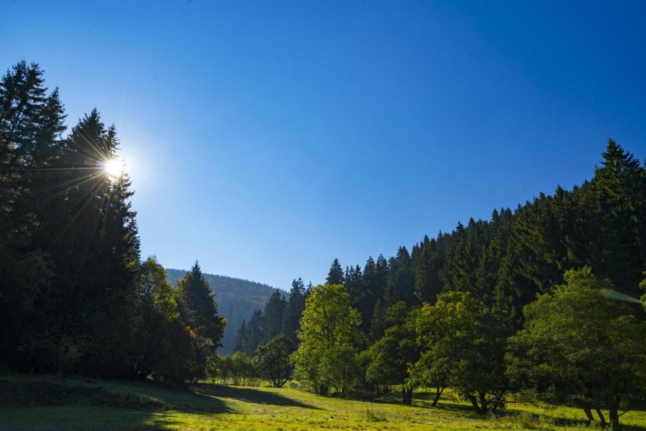 The Conscious Farmer Bed And Breakfast Sauerland Виллинген Экстерьер фото