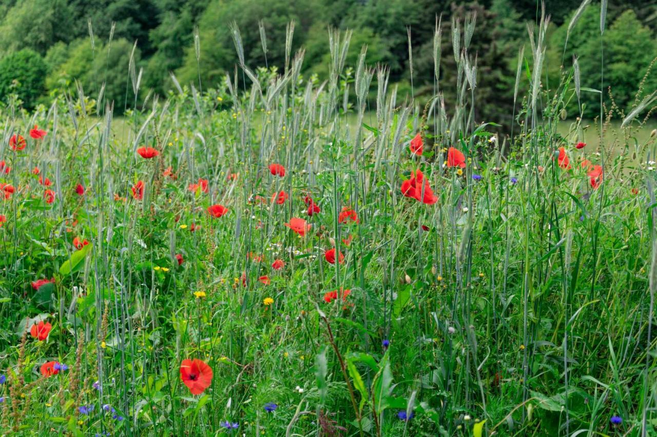 The Conscious Farmer Bed And Breakfast Sauerland Виллинген Экстерьер фото